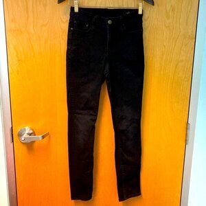 ARITZIA  Sz 27 THE CASTINGS Skinny Dark Wash Jeans